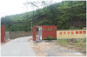 公司大门