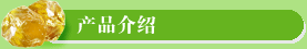 公司简介