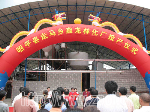 广西昭平走马鑫龙林化厂